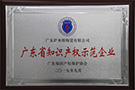 廣東省知識產權示范企業