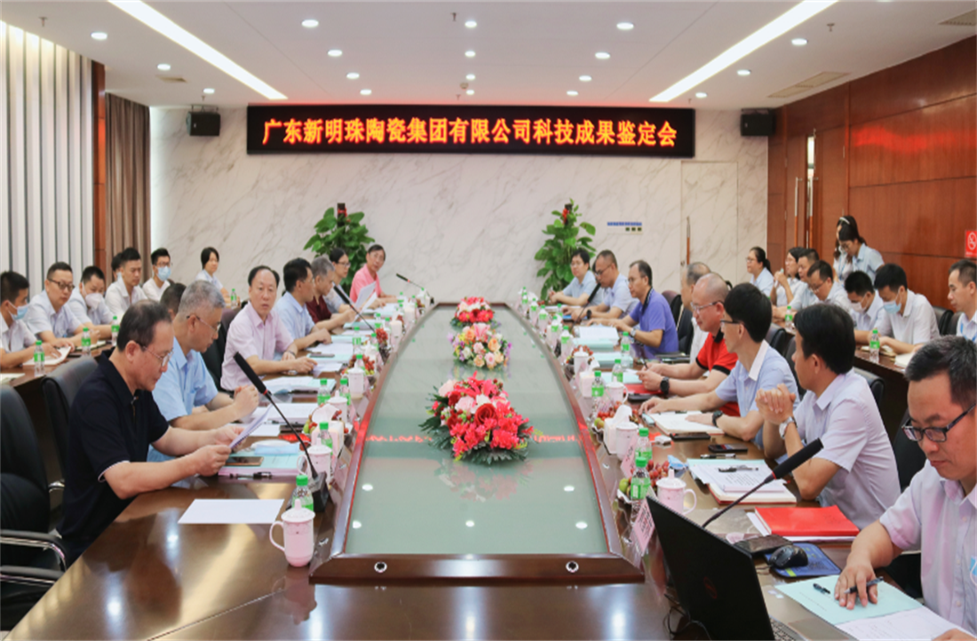 一項“國際領先”，兩項“國際先進”！新明珠3項科技成果成功通過審議