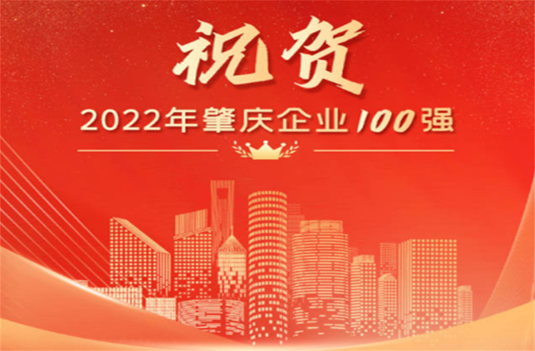新明珠集團祿步園區再次入圍“肇慶企業10強”